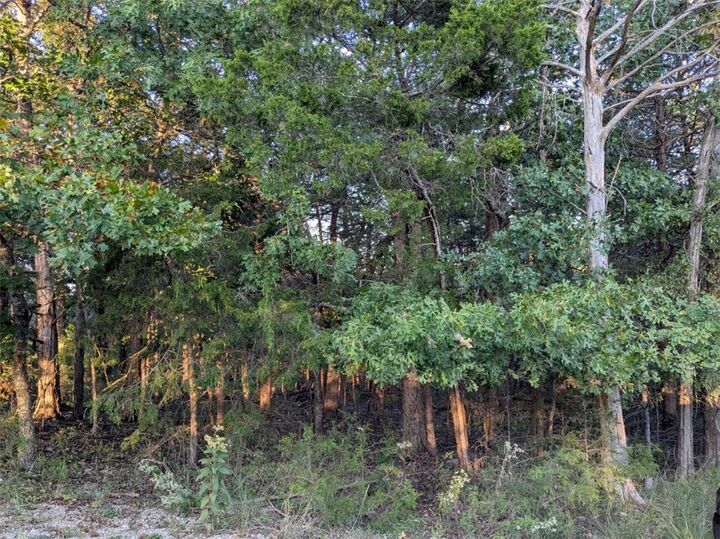 Property Photo: 26 Table Rock Drive AR 72631
