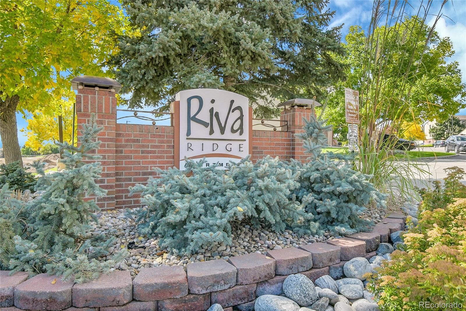 Property Photo:  539 Wright Street 301  CO 80228 