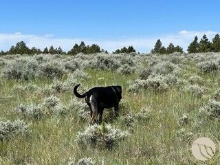 Property Photo:  540 Pine Crest  MT 59019 