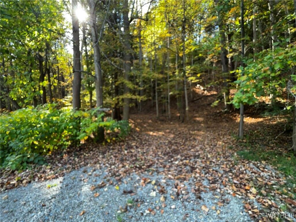 Property Photo: 10051 Route 62 NY 14070
