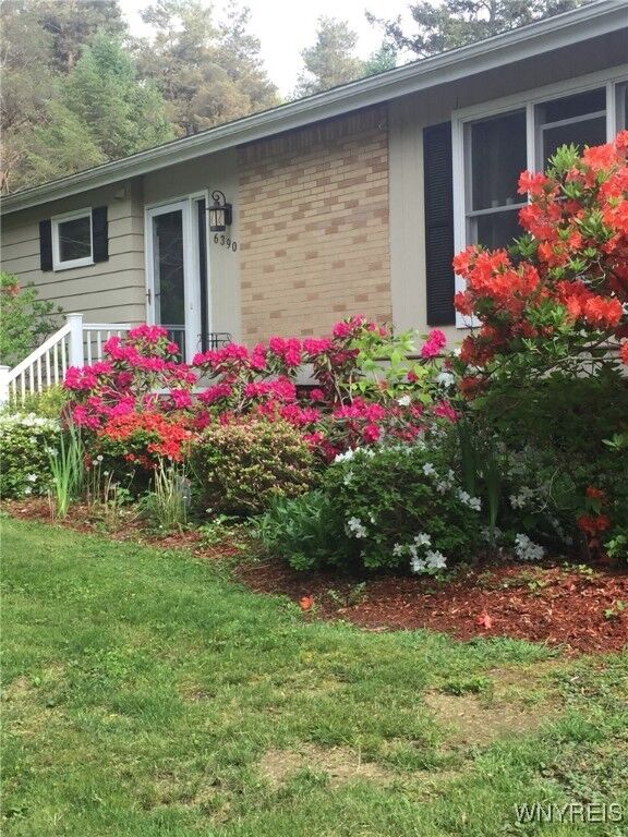 Property Photo:  6390 Deanna Drive  NY 14075 