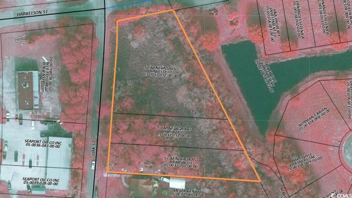 Property Photo:  Tbd Oak St.  SC 29440 