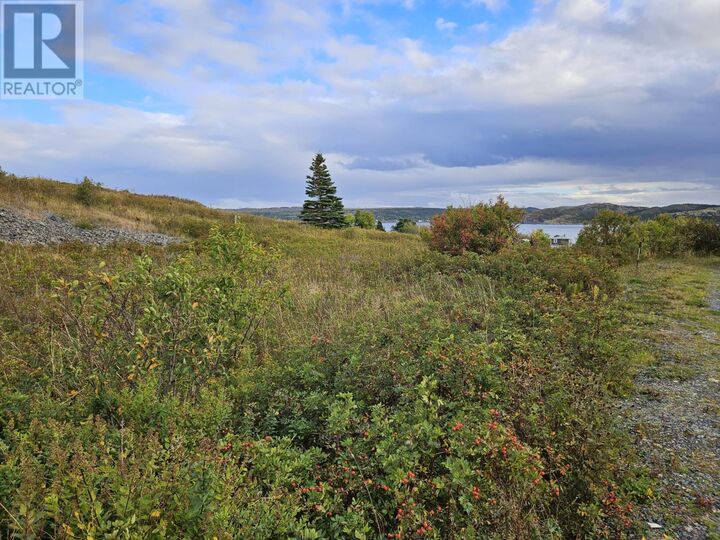 0 Bareneed Road  Bareneed NL A0A 1W0 photo