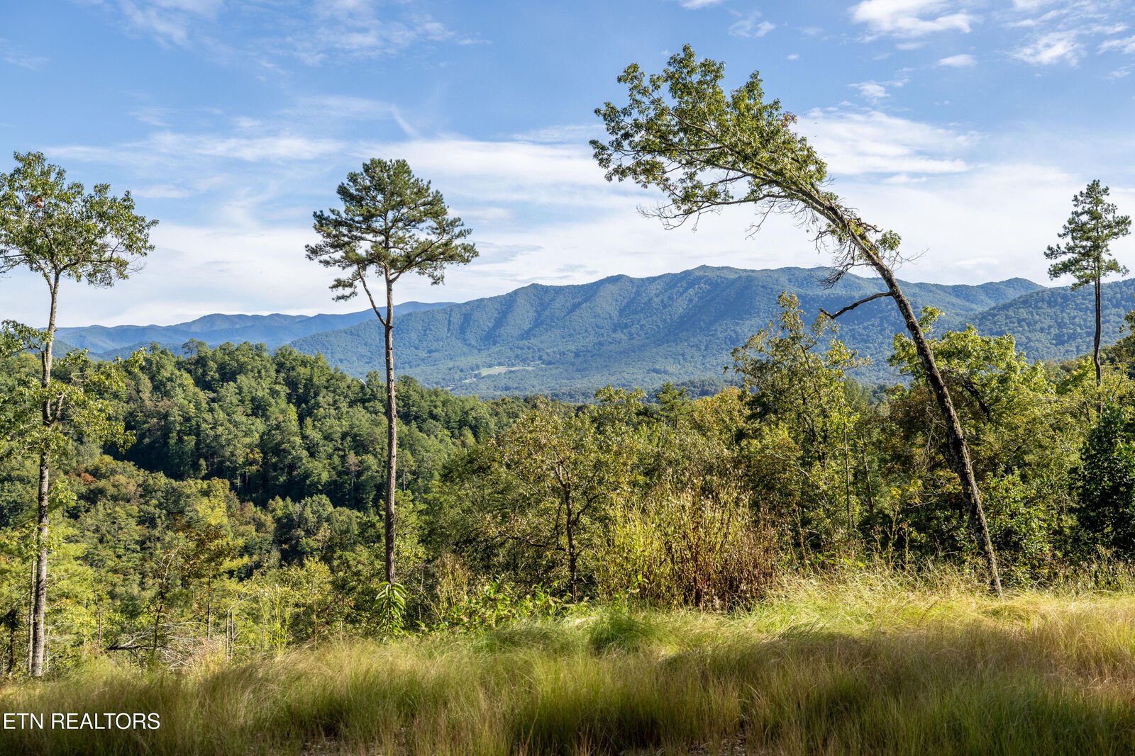 Property Photo: 454 Mt. John Luke Rd TN 37882