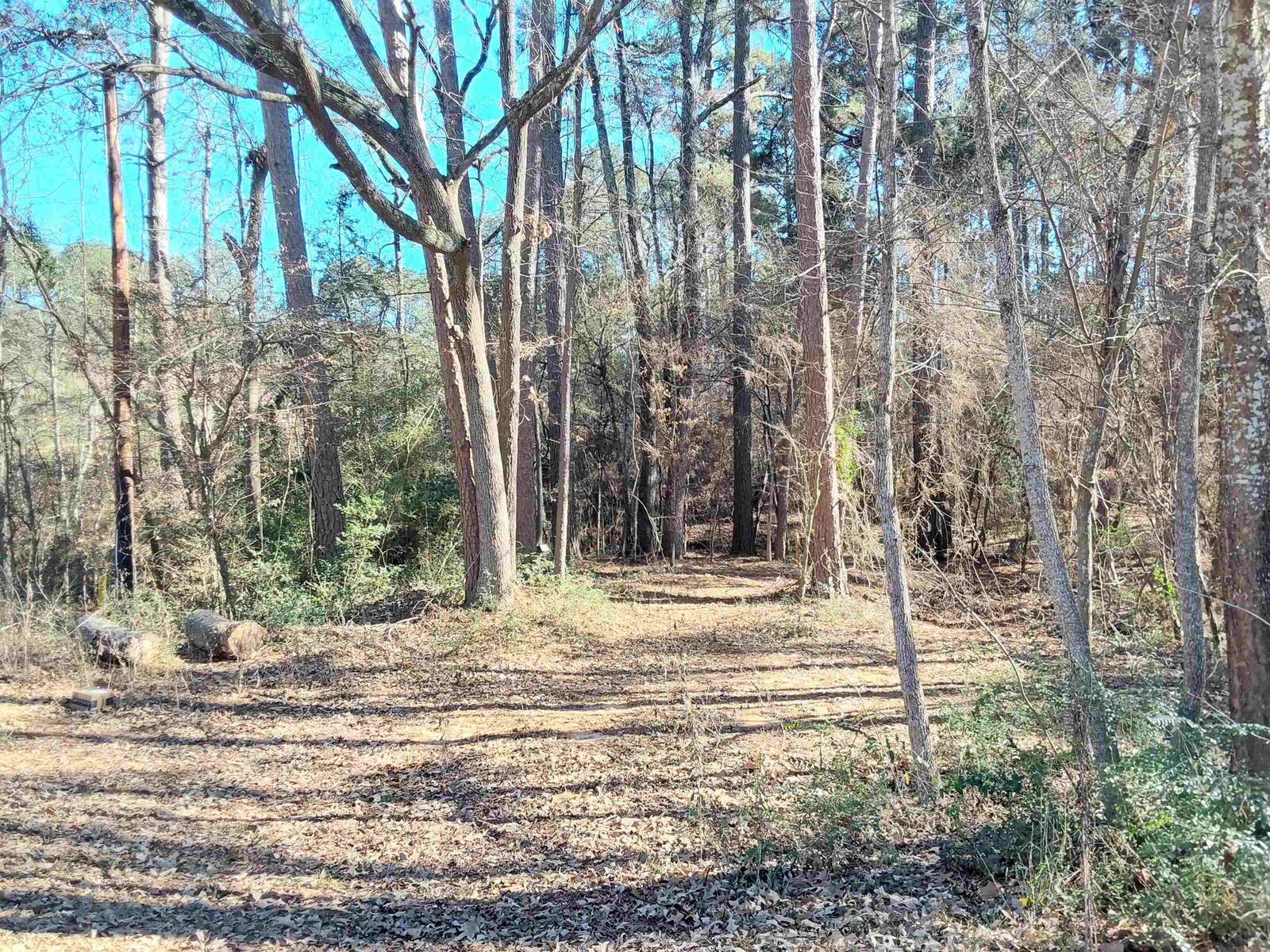 Property Photo:  Tbd Sh 149  TX 75691 