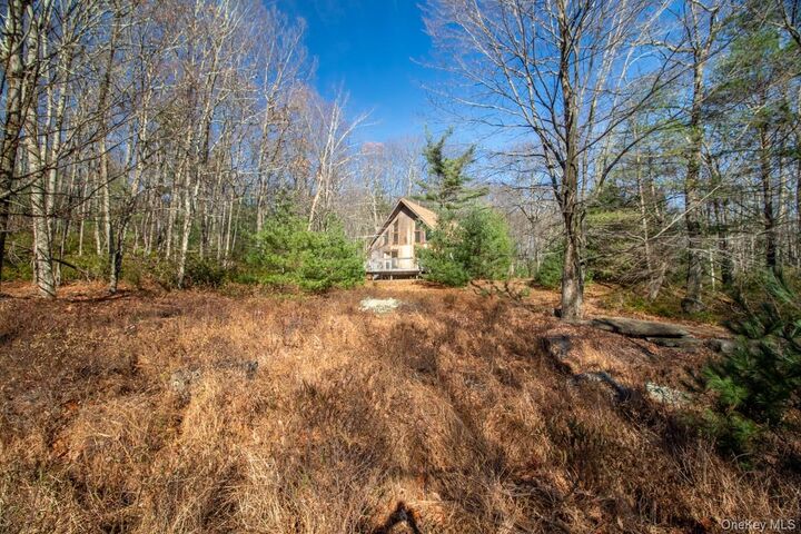 Property Photo:  140 Stillerberg Strada  NY 12446 