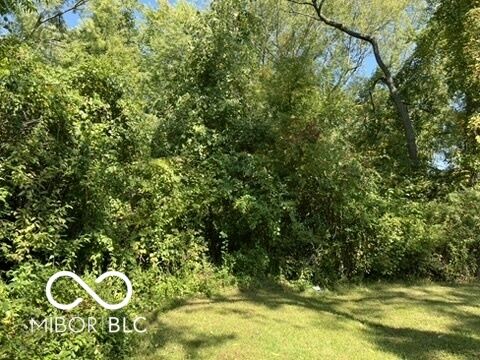 3002 Sapphire Boulevard  Indianapolis IN 46268 photo