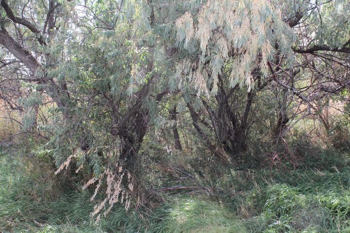 Property Photo: Lot 5 Sage Road WY 82701