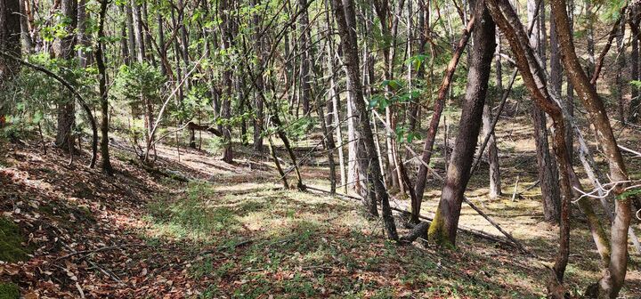 Property Photo: Pinecrest Drive OR 97526
