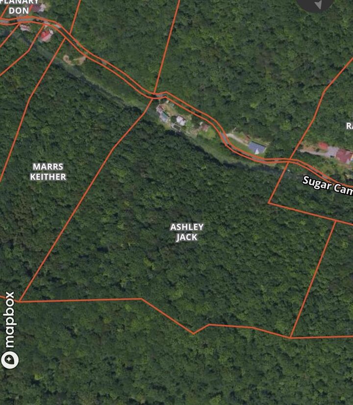 Property Photo:  0 Sugar Camp Rd. Map 053-00-00-006.00  KY 41560 