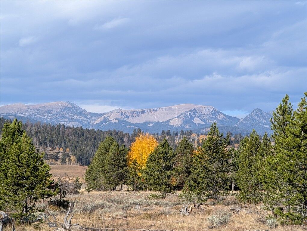 Property Photo: Nhn Valentine Lane MT 59758