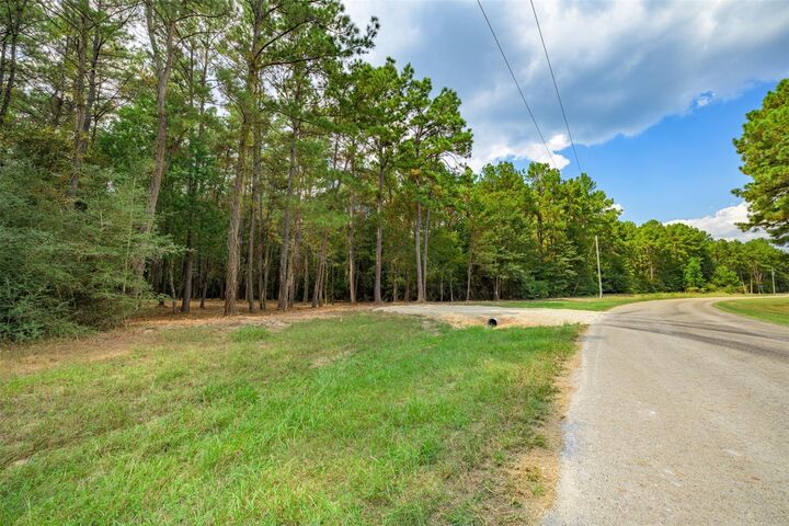 Property Photo:  17526 E Terrace Oaks Drive  TX 77484 