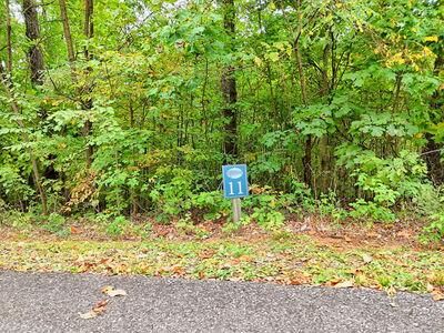 Property Photo: Lot 11 Skyview Drive NC 28904