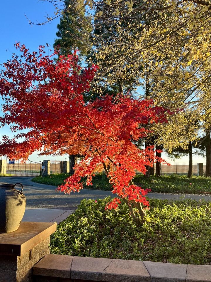 Property Photo:  5880 Sunset Boulevard West  CA 95747 