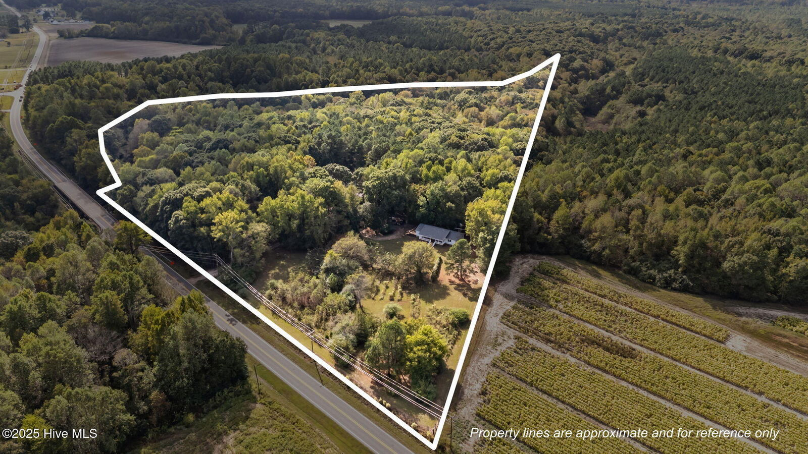 Property Photo: 8782 Red Oak Road NC 27891