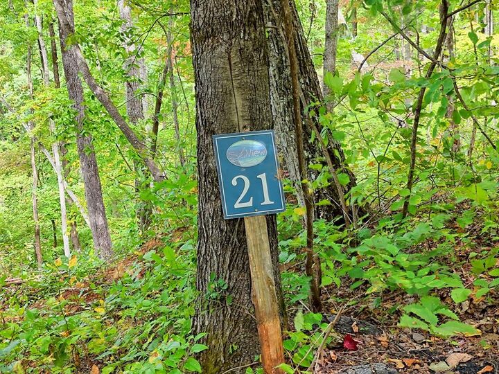 Property Photo:  Lot 21 Skyview Overlook  NC 28904 