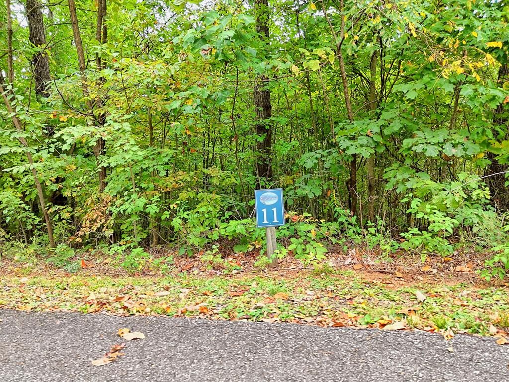 Property Photo: Lot 11 Skyview Drive NC 28904
