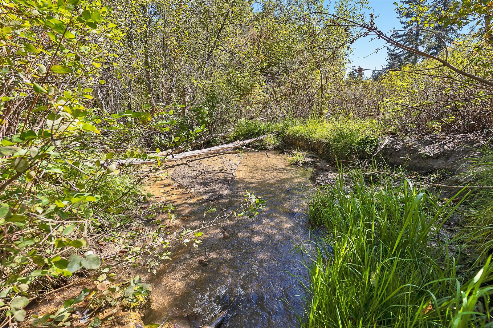 Property Photo:  000 McClain Creek Meadows  MT 59833 