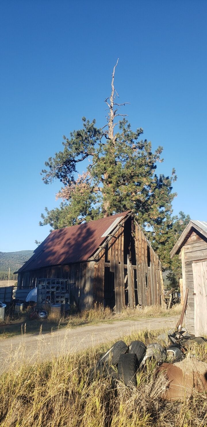 Property Photo:  21225 Mullan Road  MT 59834 