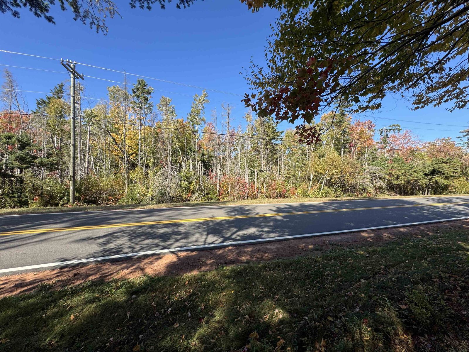 Property Photo:  Lot 21-2 Black River Road  PE C0A 1P0 