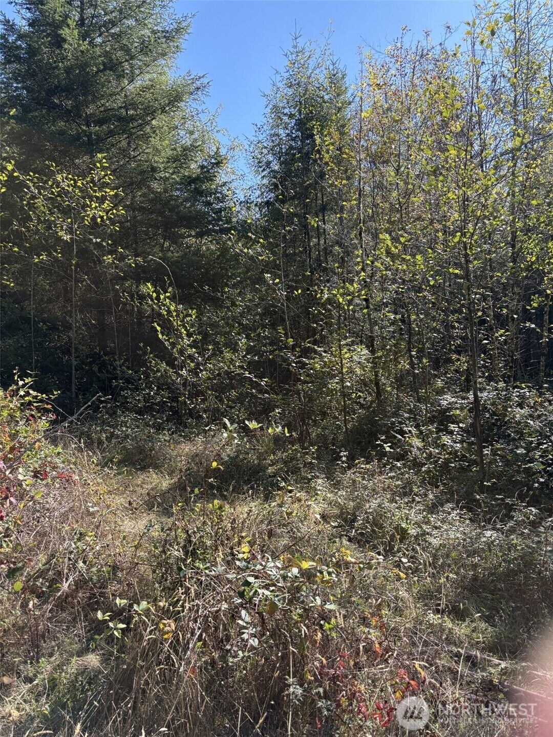 Property Photo: 0 219th Avenue SW WA 98531