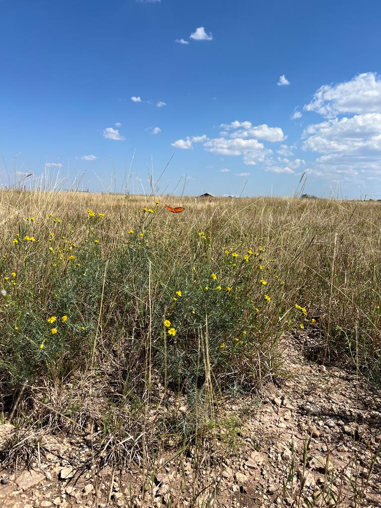Property Photo: 12522 Rasberry Lane TX 76957