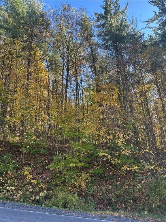 Property Photo: 129 Hornbrook Road NY 14850