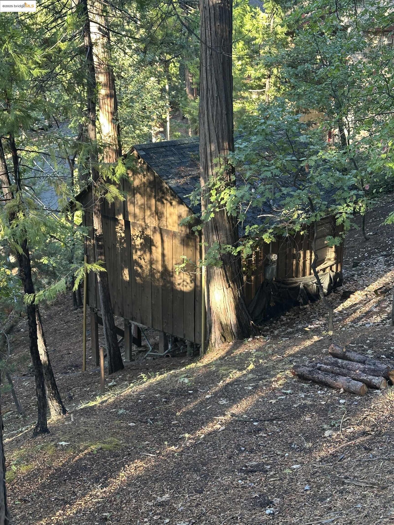 Property Photo:  22624 Tamarack Dr  CA 95383 