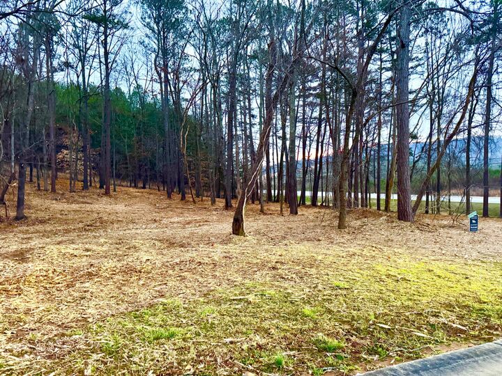 Property Photo:  1 Magnolia Court  GA 30747 