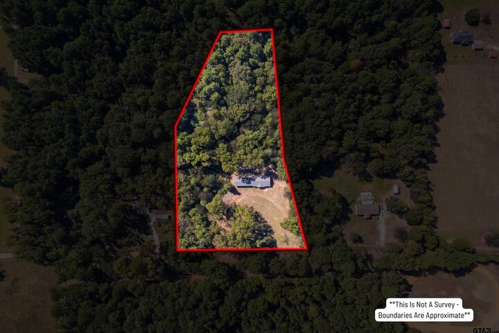 Property Photo:  4890 County Road 4875  TX 75686