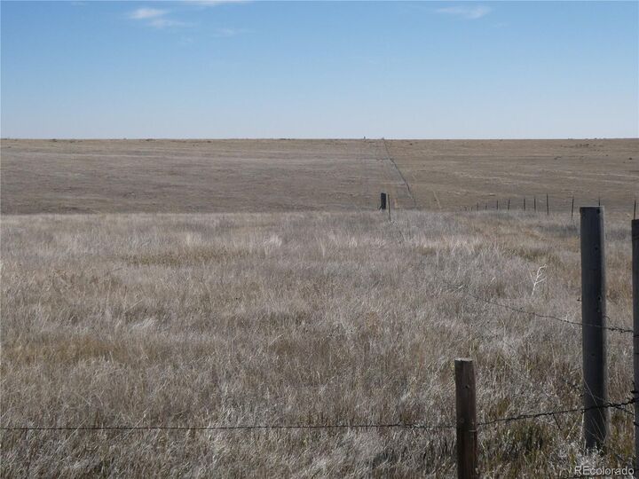 Property Photo:  11701 County Road 137  CO 80835 