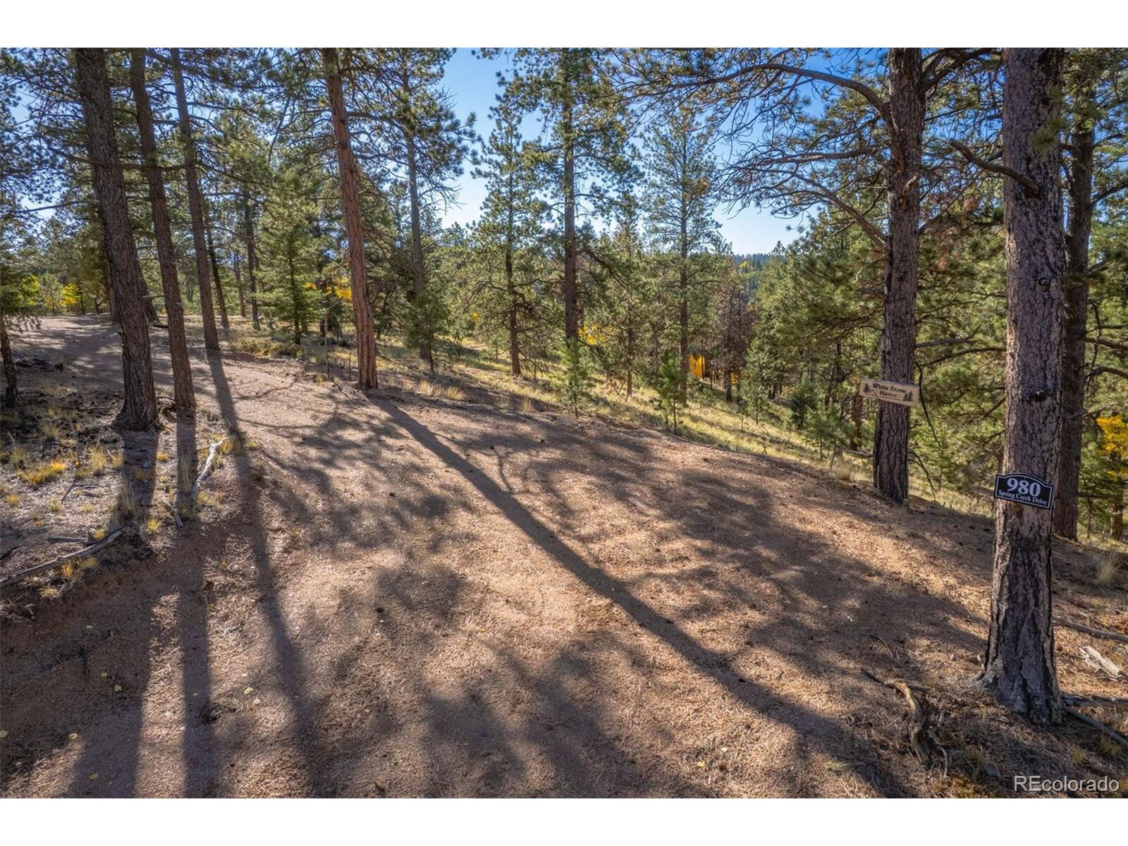 Property Photo: 980 Spring Creek Dr CO 80814