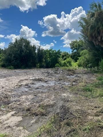 Property Photo: 2011 Calle Bonito FL 33982