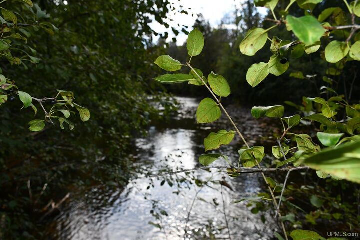 Property Photo:  Lot #14 Northwoods Lane  MI 49834 