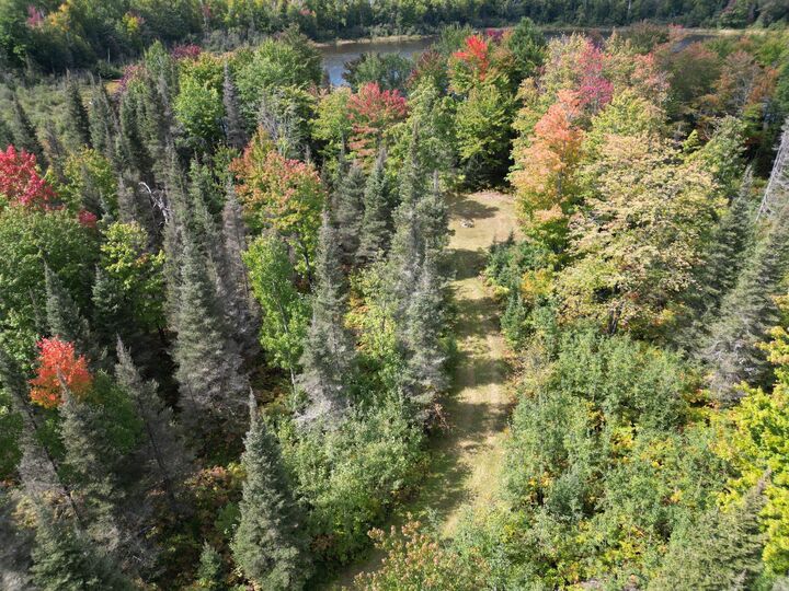 Property Photo:  307 Maggie Lakes Trail  MI 49935 