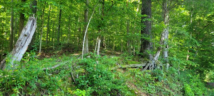 Property Photo:  1 Terrapin Run Rd  TN 37058 