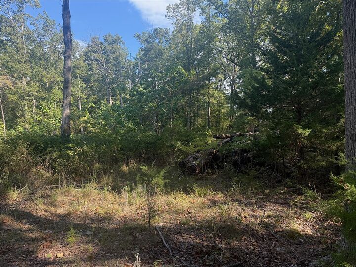 Property Photo:  14848 Wild Honey Lane  AR 72732 