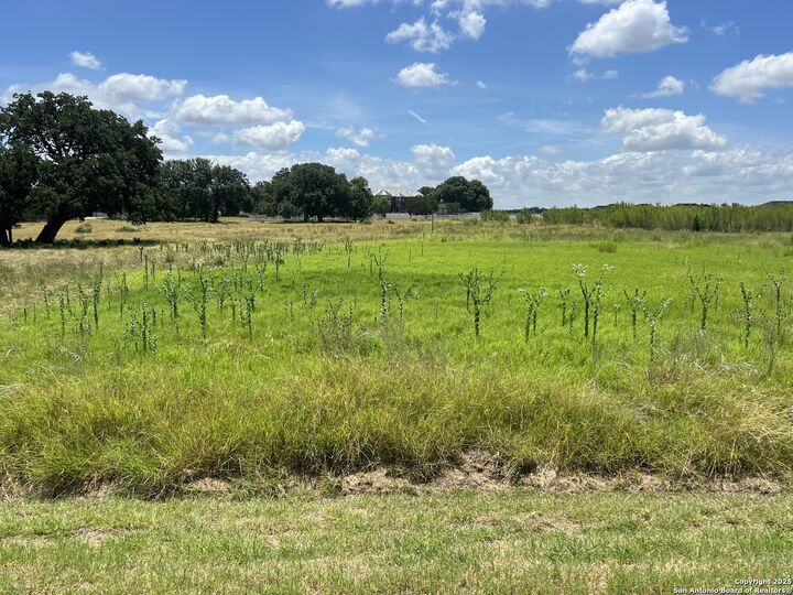 Property Photo:  560 &Amp Lot 295 Appaloosa  TX 78003 
