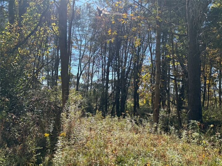 00 Sunnyside Drive S  Owego NY 13827 photo