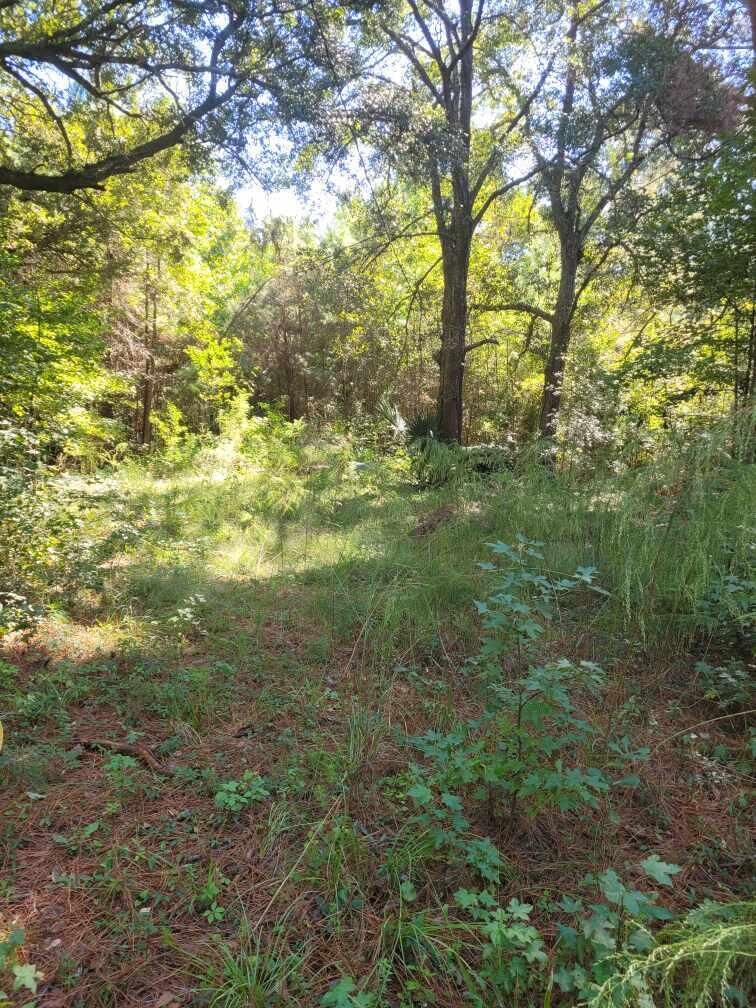 Property Photo: 2814 Highway 174 SC 29438