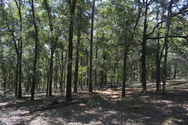 Property Photo: 2928 Aplin Road FL 32539