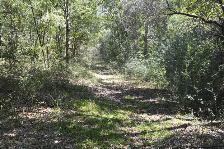 Property Photo:  2928 Aplin Road  FL 32539 