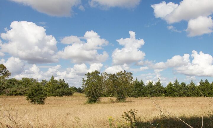 Property Photo:  Tbd Fm 332  TX 77833 