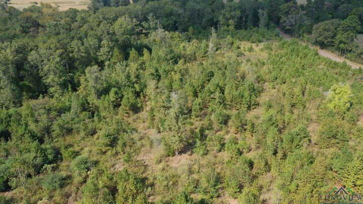 Property Photo:  0000 County Road 3546  TX 75572 