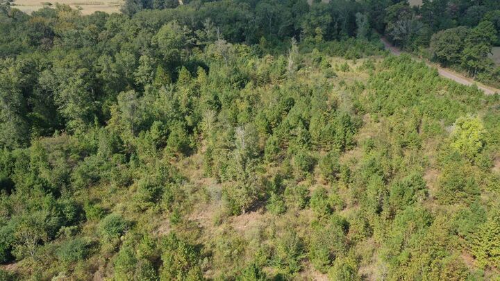 Property Photo: 0000 County Road 3546 TX 75572