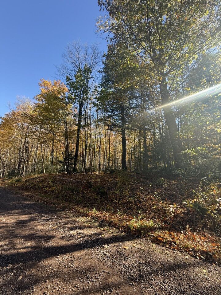 Property Photo: 0000 Ashland Bayfield Rd WI 54806