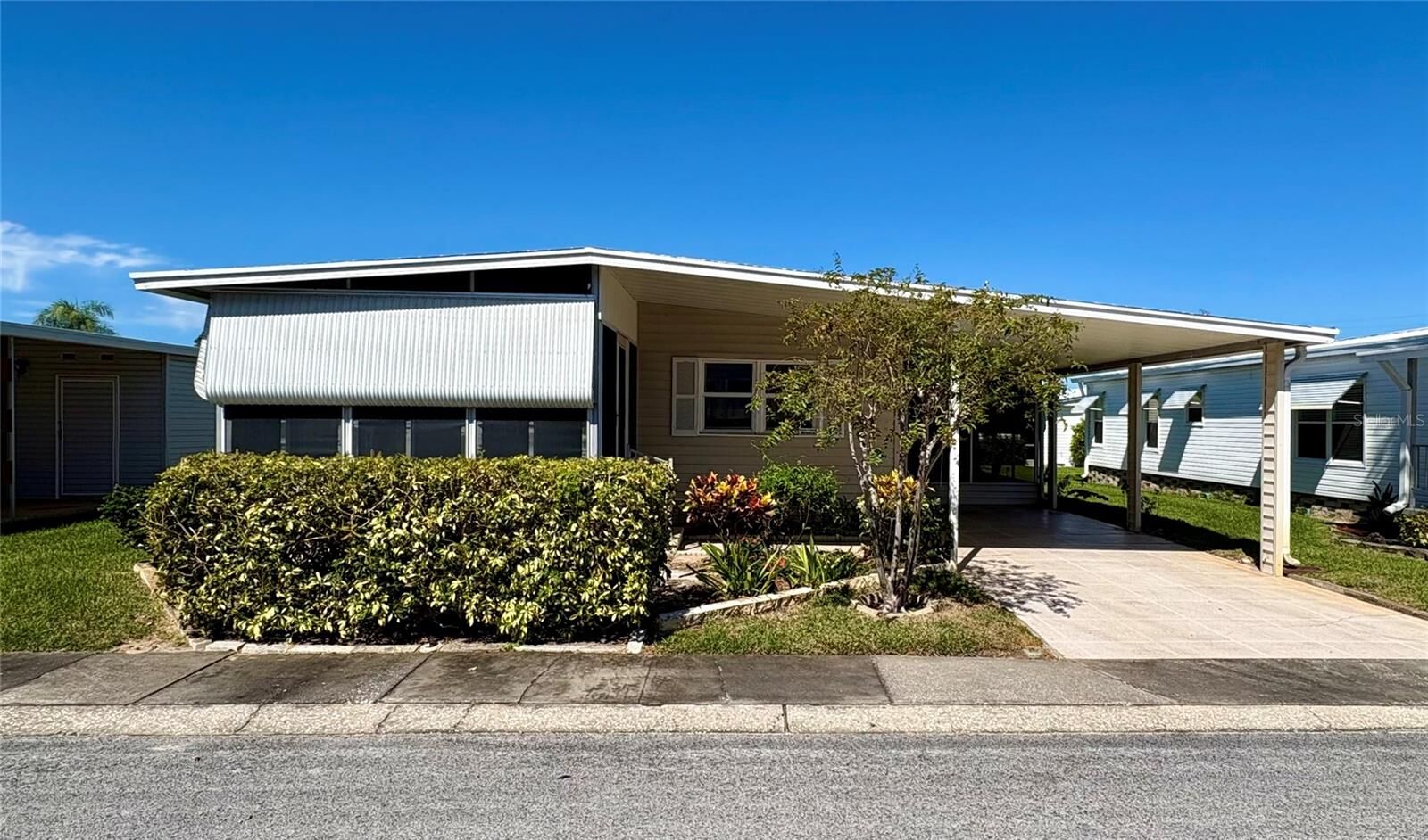 Property Photo:  203 Red Maple Drive  FL 34684 