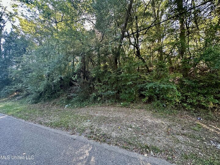Property Photo:  0 Vernon Road  MS 39056 