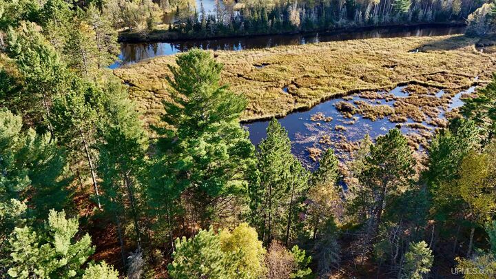 Property Photo:  Tbd34 Willett Lane  MI 49879 