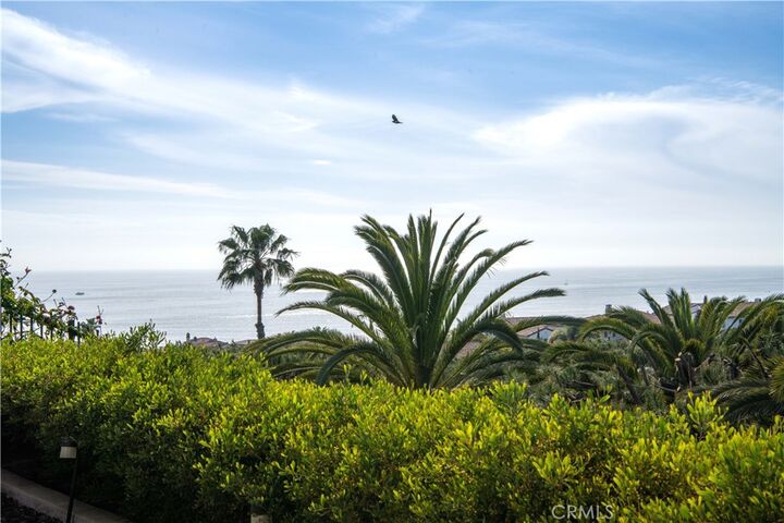 Property Photo: 6 6 Surfspray Bluff CA 92657